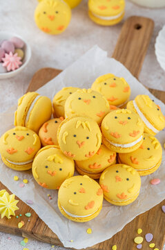 Naklejki Cute Easter chick macarons. French macarons with vanilla cream and lemon curd on a concrete background. Funny food idea. Copy space.