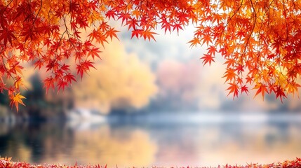 autumn leaves on the water