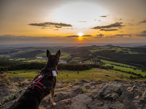 Sundown with dog