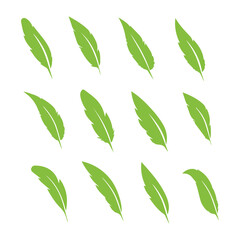 feather shape weightless bird plume icons vector image