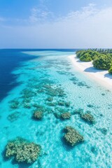Coral atolls reveal vibrant marine life in crystal clear blue waters under the sunlit sky