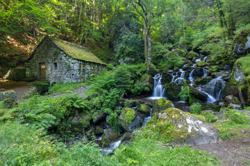 Water wheel mill (Moulin de Chambeuil) with waterfalls, Laveissiere, Cantal, Auvergne-Rhone-Alpes,...