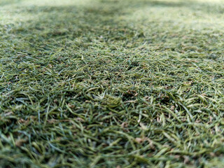 Close Up Of Green Artificial Turf Ground Cover With A Textured Surface