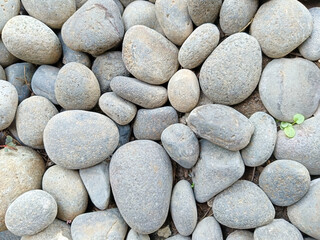 Collection Of Smooth Gray River Rocks With Varied Sizes And Textures,