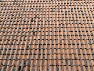 Detailed Terracotta Roof Tile Pattern With Weathered Texture And Moss Accents