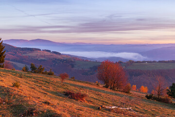 Typical landscape in National park Polana mountains, Slovakia © Richard Semik