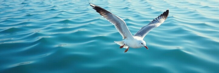 Obraz premium Seagull flying over calm ocean waters with ripples, water, wildlife, bird
