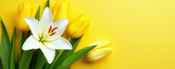Obraz premium A bouquet of fresh white lilies and yellow tulips, arrangement, petals, yellow