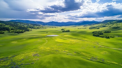 Obraz premium Aerial view of a vast spring valley covered in green grass, dotted with colorful wildflowers, breathtaking landscape, highresolution photography