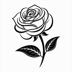 Elegant Black Rose Illustration 01