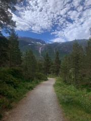 Obraz premium Wanderweg duch Wald in Norwegen