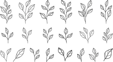 A set of abstract twigs with leaves highlighted on a white background. Vector hand-drawn illustration in contour style. Black contoured twigs, leaves