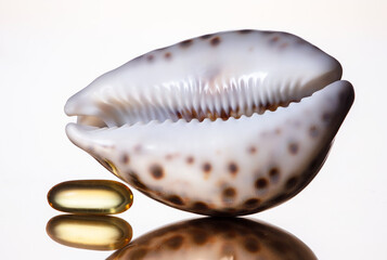Ocean shell and fish oil pill on a white background. Golden capsules of Omega 3 fish oil rich in nutrients. Shallow depth of field