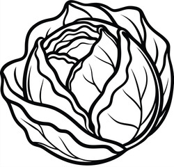 Cabbage vegetable outline black and white cute drawing. The vegetable is the main focus of the image. The vegetable adds a touch of nature and freshness to the scene. The image is simple and clear