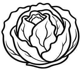 Cabbage vegetable outline black and white cute drawing. The vegetable is the main focus of the image. The vegetable adds a touch of nature and freshness to the scene. The image is simple and clear