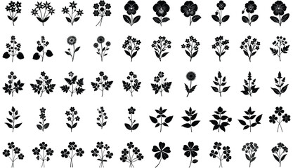 Tiny Wildflowers and Plants Illustration Set