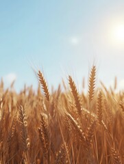 Fototapeta premium Growing wheat with sunlight and blue sky in the morning, Generative AI,