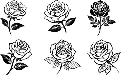 A vector silhouette Bundle image Black Rose with a white background