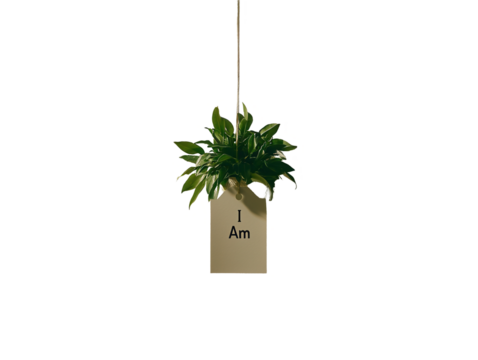 A blank name tag with i am a hanging plant transparent background minimalist design