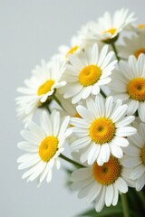 A Delicate Bouquet of Freshly Picked Daisies, Displaying Their Pristine White Petals and Vibrant Yellow Centers, a Symbol of Purity and Innocence
