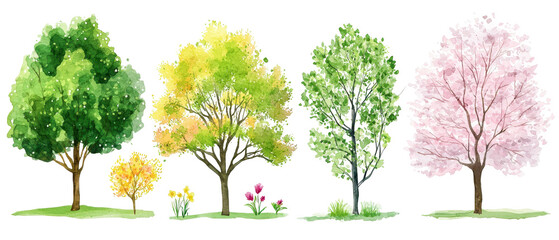 Obraz premium Colorful trees in various stages of spring growth, showcasing vibrant foliage and flowers