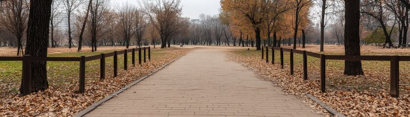 Scenic Pathway Through Autumn Park with Leaf-Littered Ground and Bare Trees on a Cloudy Day