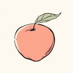 Hand drawn peach illustration