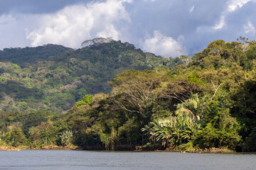 Tarcoles River scenery