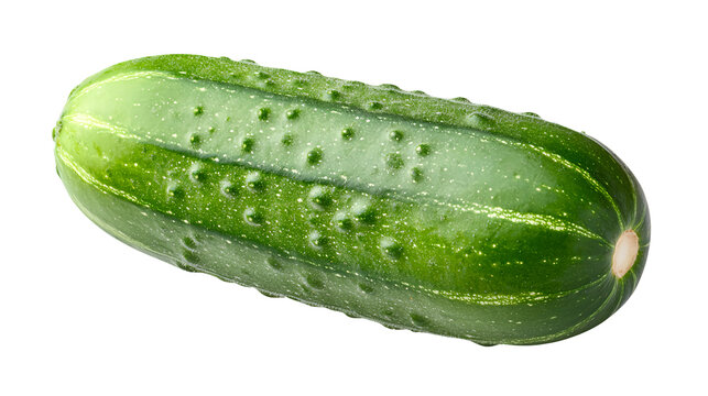 Fresh cucumber isolated on transparent background, perfect for diet food, vegan meals, and healthy eating concepts. Crisp, green vegetable ideal for salads, detox recipes, hydration, and organic food.