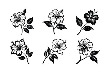 Hibiscus (Hibiscus spp.) line art vector illustration