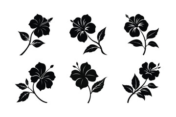 Hibiscus (Hibiscus spp.) silhouette vector illustration