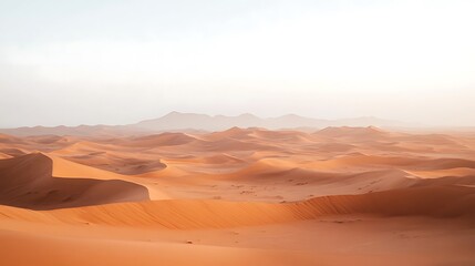 Fototapeta premium Expansive Sand Dunes Under a Pale Sky