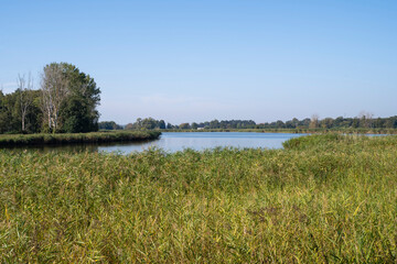 Landschaft am Achterwasser, Koserow, Insel Usedom, Ostsee, Mecklenburg-Vorpommern, Deutschland, Europa