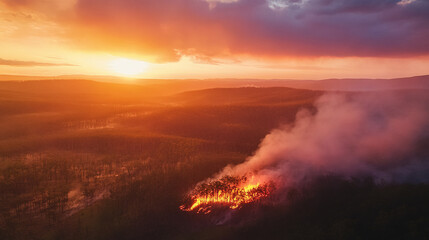 Fototapeta premium Aerial drone view of a dramatic forest fire.