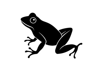 frog vector illustration