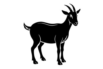 silhouette of a deer