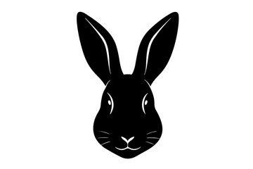 black rabbit isolated on white