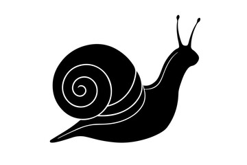 snail on a white background © InDesign