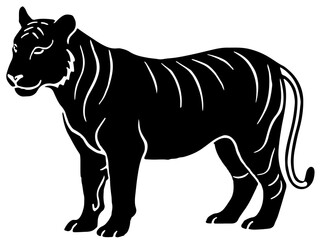 zebra vector illustration