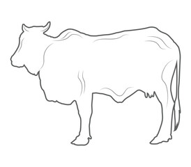 cow Icons, Ideal for Agriculture and Farm Themes Cow illustration vector. Cow Icons, black and white cow logo, Minimalist Cow Drawing.