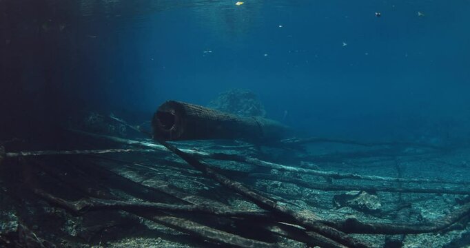 Underwater landscape in blue crystal lake with sunken wooden logs. Most transparent Paisu pok lake in Indonesia. 
