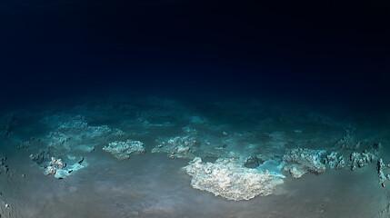 Fototapeta premium Deep Sea Floor Topography With Coral Formations Panoramic Underwater Vista Landscape