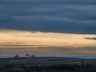 Fototapeta premium Nouveau jour sur la plaine d'Alsace : paysage hivernal et froid intense, Alsace, CEA, Grand Est, France