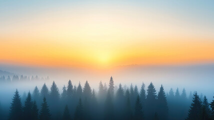 Sunrise over misty forest with soft golden and blue hues