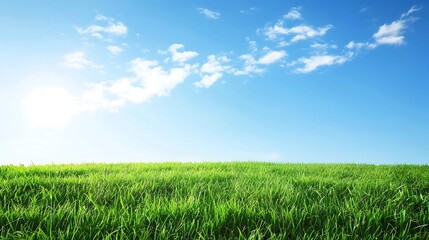 Obraz premium Lush Green Grass Field Under Bright Blue Sky and White Clouds