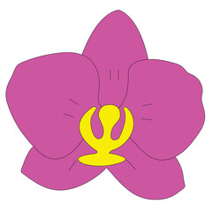 orchid flower vector icon