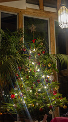 Christmas tree with lights and ornaments 