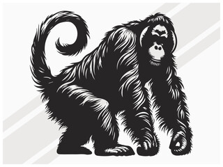 Orangutan Silhouette Black Color Wildlife Primate Illustration