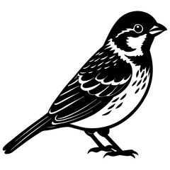 vector illustration of 