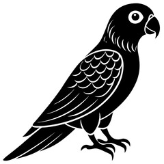 Obraz premium vector illustration of 